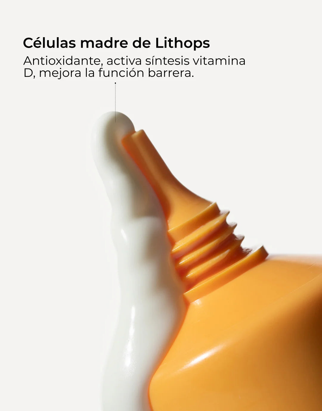 Sun Care SPF50+ [50ml]